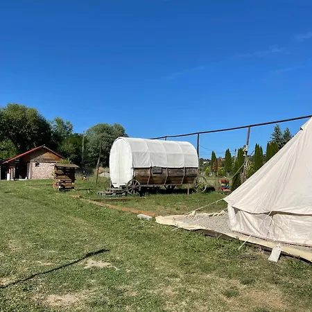 Campingul Apusenilor キャンプ場 *